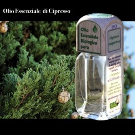 Puro olio essenziale d'origine BIOLOGICA di CIPRESSO (Cupressus sempervirens)