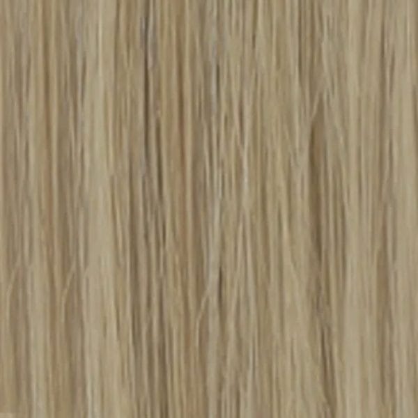 Extension Di Biase con Clips Capelli Naturali indiani colore 24